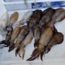 フィッシングボート空風(そらかぜ) 釣果