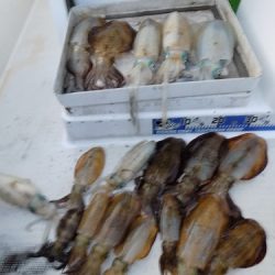 フィッシングボート空風(そらかぜ) 釣果