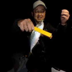 フィッシングボート空風(そらかぜ) 釣果