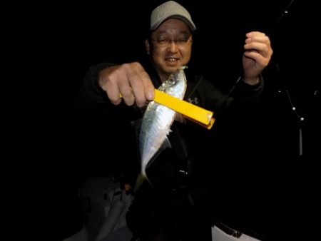 フィッシングボート空風(そらかぜ) 釣果