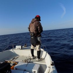 フィッシングボート空風(そらかぜ) 釣果
