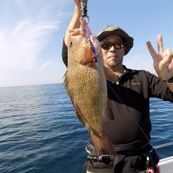 フィッシングボート空風(そらかぜ) 釣果