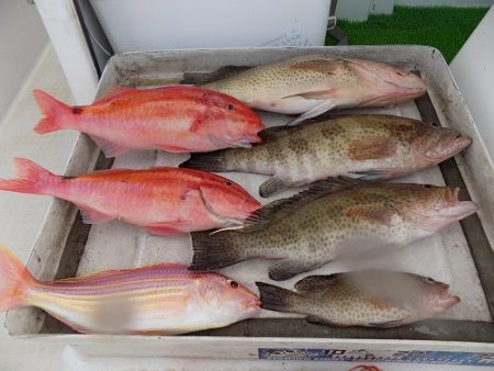 フィッシングボート空風(そらかぜ) 釣果