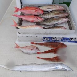 フィッシングボート空風(そらかぜ) 釣果