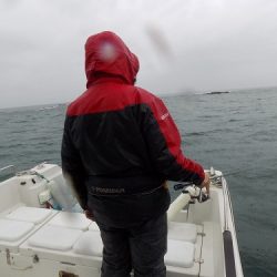 フィッシングボート空風(そらかぜ) 釣果