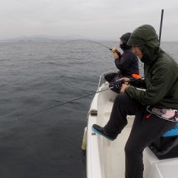 フィッシングボート空風(そらかぜ) 釣果