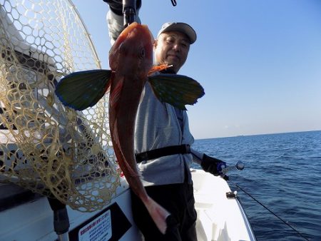 フィッシングボート空風(そらかぜ) 釣果