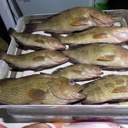 フィッシングボート空風(そらかぜ) 釣果