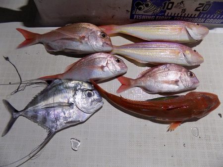 フィッシングボート空風(そらかぜ) 釣果