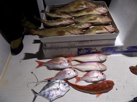 フィッシングボート空風(そらかぜ) 釣果