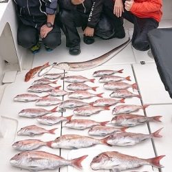 フィッシングボートACE(エース) 釣果