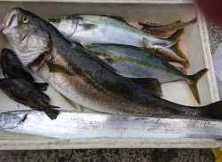 宮川丸 釣果