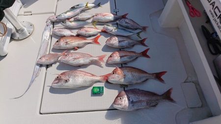 フィッシングボートACE（エース） 釣果