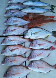 釣り舟　海竜 釣果