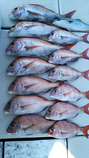 釣り舟　海竜 釣果