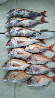 釣り舟　海竜 釣果