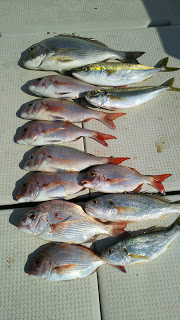 釣り舟　海竜 釣果