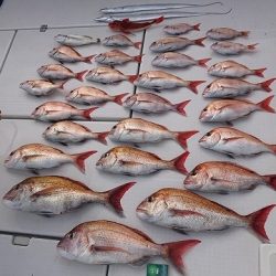 フィッシングボートACE(エース) 釣果