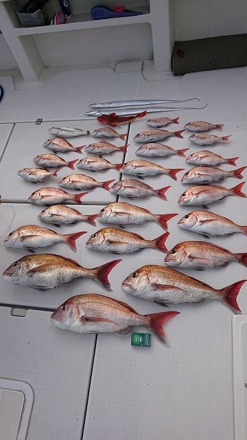 フィッシングボートACE（エース） 釣果