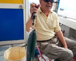 フィッシング太陽 釣果