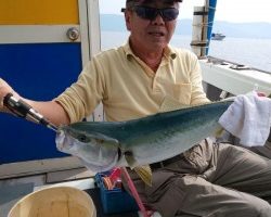 フィッシング太陽 釣果