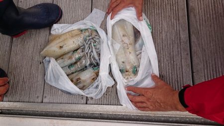 フィッシングボートACE(エース) 釣果