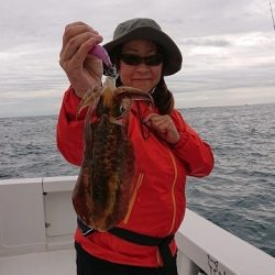 フィッシングボートACE(エース) 釣果