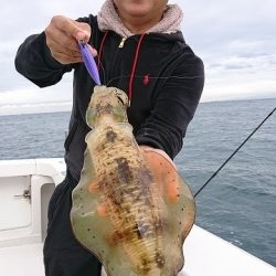 フィッシングボートACE(エース) 釣果