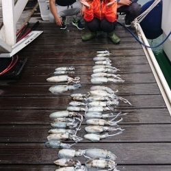 フィッシングボートACE(エース) 釣果