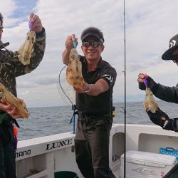 フィッシングボートACE(エース) 釣果