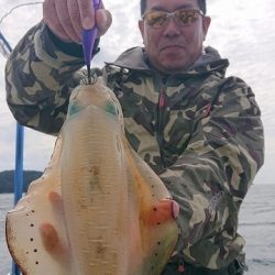 フィッシングボートACE(エース) 釣果