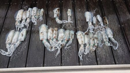 フィッシングボートACE（エース） 釣果