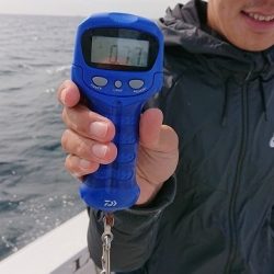 フィッシングボートACE（エース） 釣果