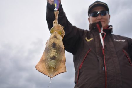 Fisherman Dreams DI 釣果