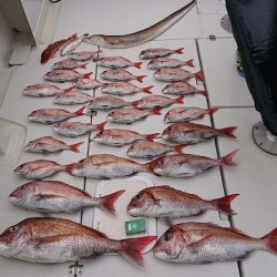 フィッシングボートACE(エース) 釣果