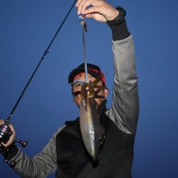 Fisherman Dreams DI 釣果