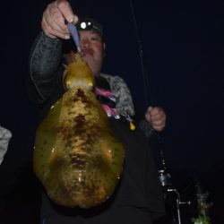 Fisherman Dreams DI 釣果