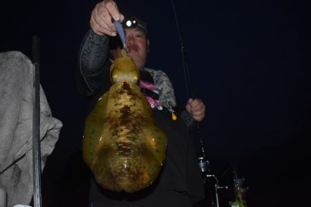 Fisherman Dreams DI 釣果