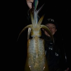 Fisherman Dreams DI 釣果