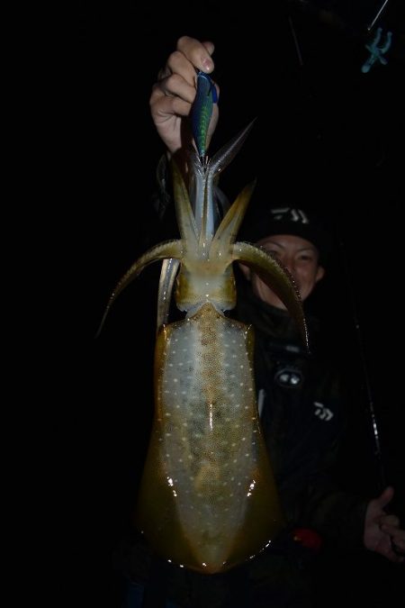 Fisherman Dreams DI 釣果