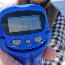 フィッシングボートACE(エース) 釣果