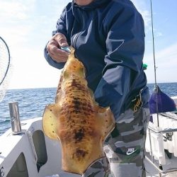 フィッシングボートACE(エース) 釣果