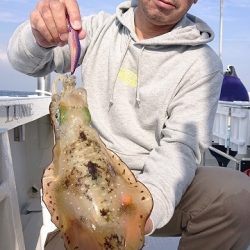 フィッシングボートACE（エース） 釣果