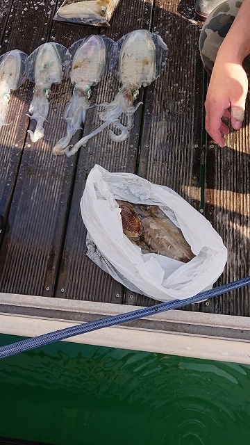 フィッシングボートACE（エース） 釣果