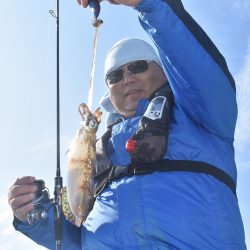 Fisherman Dreams DI 釣果