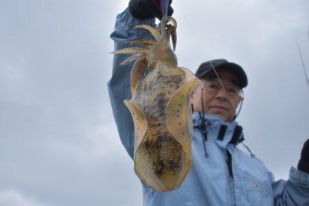 Fisherman Dreams DI 釣果