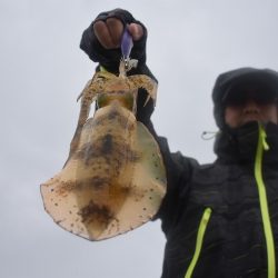 Fisherman Dreams DI 釣果