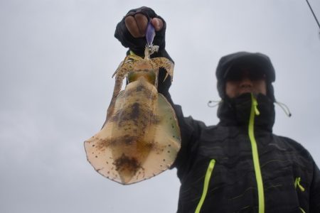 Fisherman Dreams DI 釣果