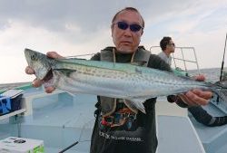 KONAYAーMARU(こなや丸) 釣果