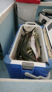 KONAYAーMARU(こなや丸) 釣果